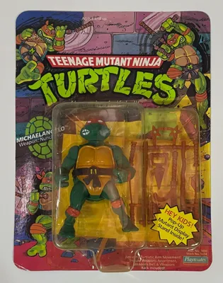 Michaelangelo (Pop-Up Display)